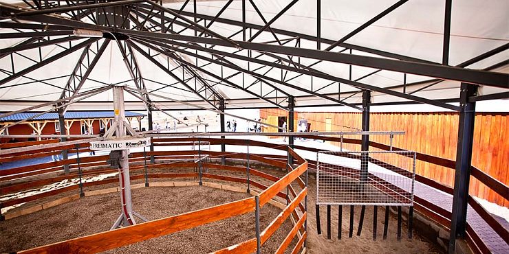 Kruhové jízdárny: Ideální prostor pro trénink koní